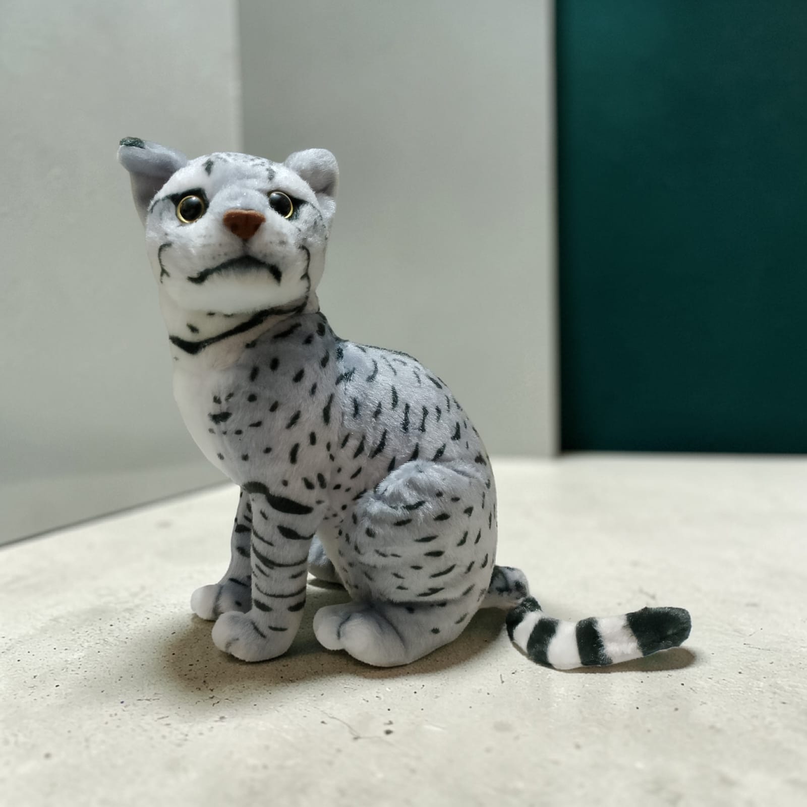 Leapord Small
